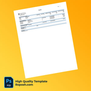 University of Chicago Hospitals  payslip word and pdf template