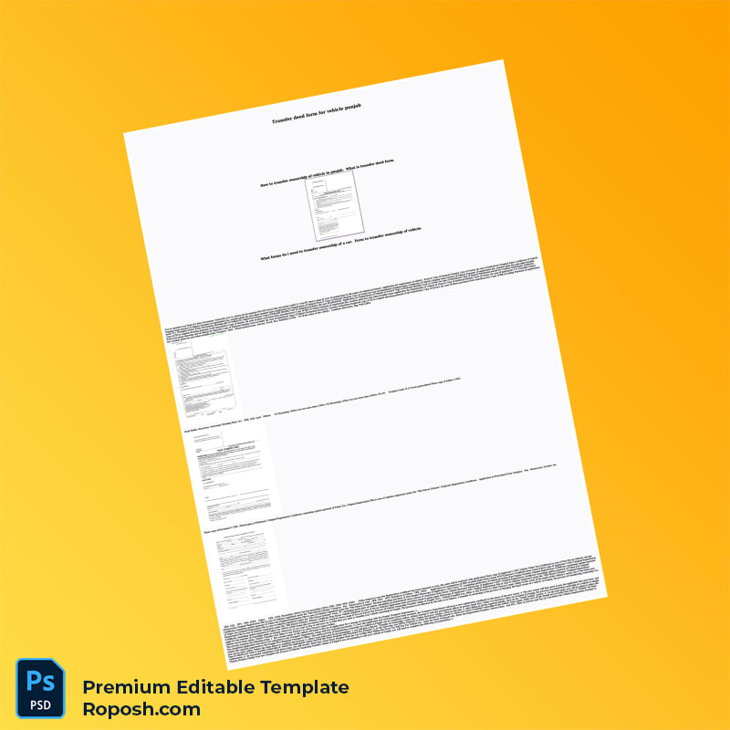 Customizable Vehicle Registration Plate Document Editable Word & PDF Template 3 page Customizable Vehicle Registration Plate Document Editable Word & PDF Template 3 page