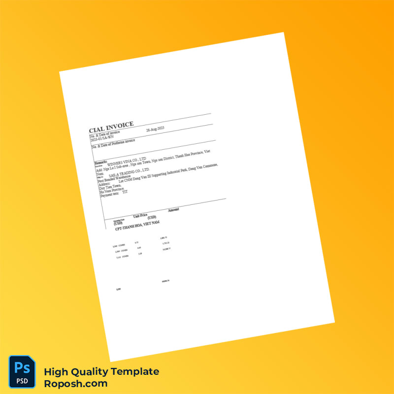 Vietnam DK YK HANOI SB CO LTD Commercial Invoice Template in Word and PDF formats 6 page Vietnam DK YK HANOI SB CO LTD Commercial Invoice Template in Word and PDF formats 6 page