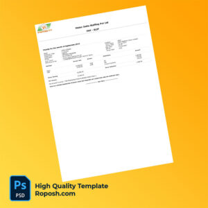 Vision India Staffing Pvt Ltd payslip word and pdf template