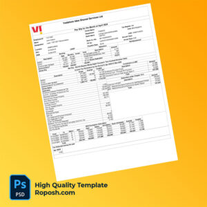 Vodafone Idea Shared Services Ltd payslip word and pdf template