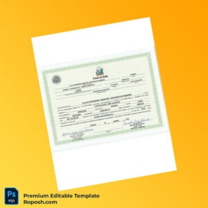 Printable Brazil Bahia Technical High School Diploma in Computer Science – Fast Edit 2 Page