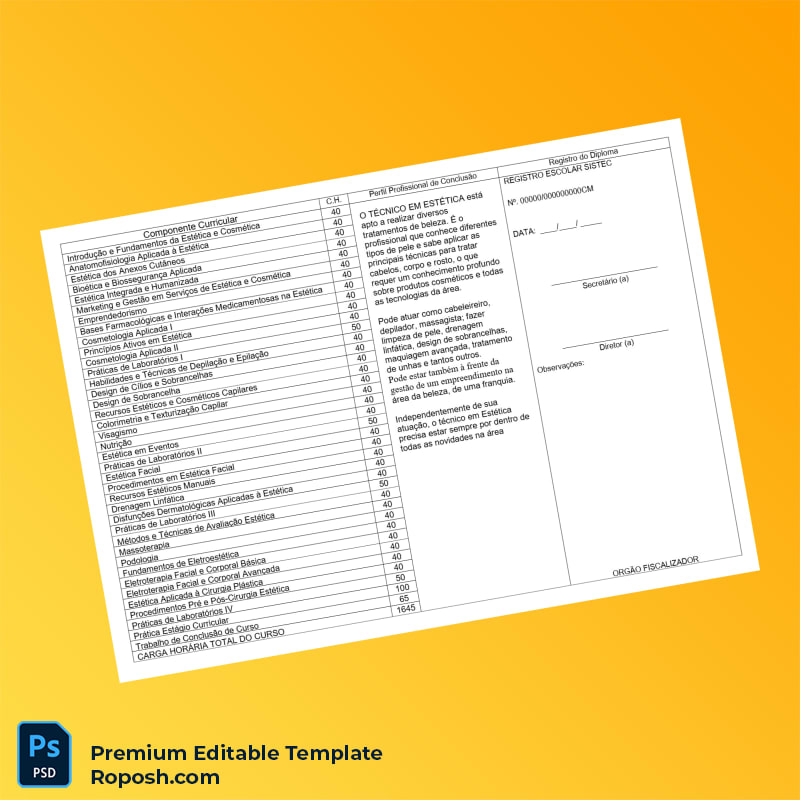 Editable Brazil Instituto (Unnamed) Diploma in Aesthetics Template – Instant Download 2 Page Editable Brazil Instituto (Unnamed) Diploma in Aesthetics Template – Instant Download 2 Page