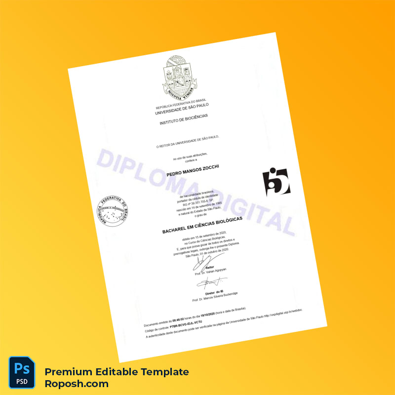 Editable Brazil University of São Paulo Bachelor of Science Template – Fast Edit 2 Page Editable Brazil University of São Paulo Bachelor of Science Template – Fast Edit 2 Page