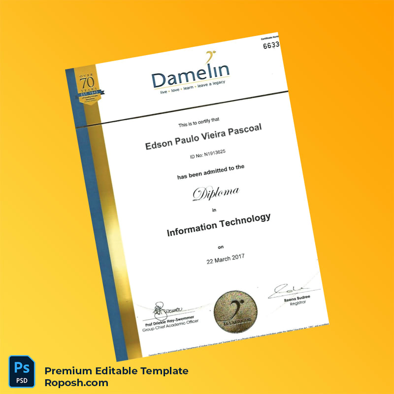 Editable South Africa Damelin College Diploma in Information Technology Template – Fast Edit 2 Page Editable South Africa Damelin College Diploma in Information Technology Template – Fast Edit 2 Page