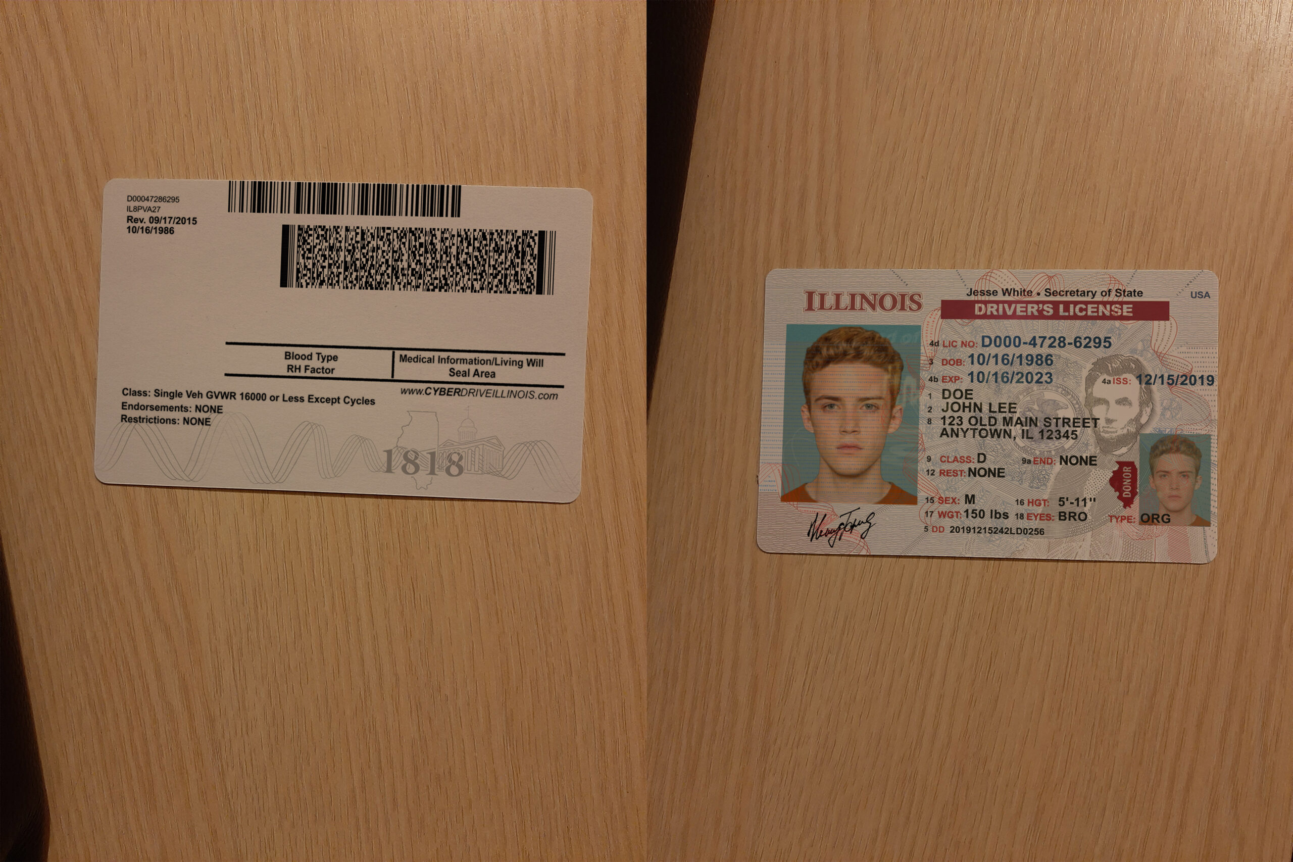 USA Illinois DL 1 scaled 1 - USA Illinois DL